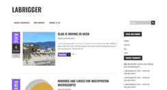 Desktop Screenshot of labrigger.com